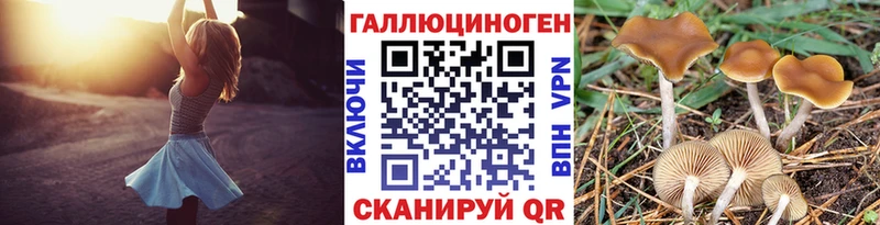 Купить где  Верхний Уфалей  Галлюциногенные грибы мицелий 